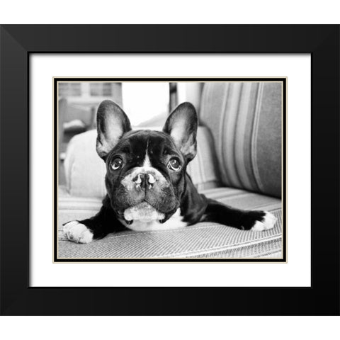 Hugo Black Modern Wood Framed Art Print with Double Matting by Levin, Kim