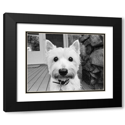 Rosie Black Modern Wood Framed Art Print with Double Matting by Levin, Kim