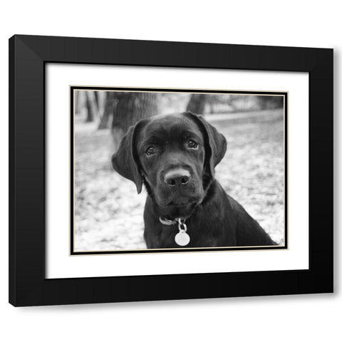 Zoey Black Modern Wood Framed Art Print with Double Matting by Levin, Kim