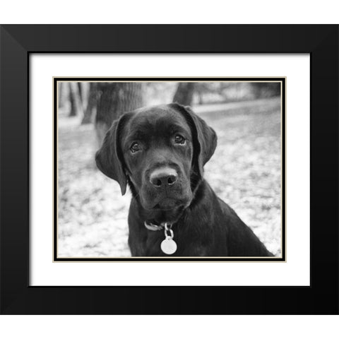 Zoey Black Modern Wood Framed Art Print with Double Matting by Levin, Kim