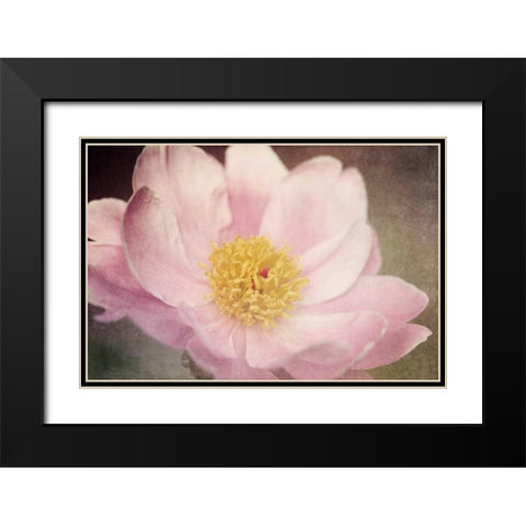 Peony in the Park Black Modern Wood Framed Art Print with Double Matting by LeBlanc, Dawn