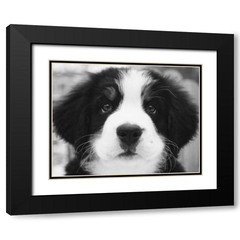 Ben Black Modern Wood Framed Art Print with Double Matting by Levin, Kim