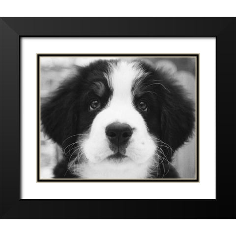 Ben Black Modern Wood Framed Art Print with Double Matting by Levin, Kim