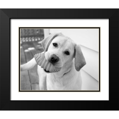 Blue Black Modern Wood Framed Art Print with Double Matting by Levin, Kim