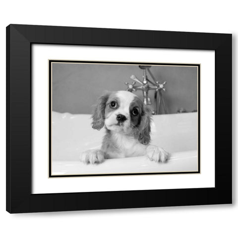 Lulu Black Modern Wood Framed Art Print with Double Matting by Levin, Kim