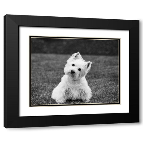 Winnie Black Modern Wood Framed Art Print with Double Matting by Levin, Kim