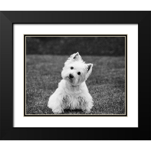 Winnie Black Modern Wood Framed Art Print with Double Matting by Levin, Kim