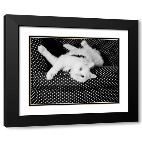 Birdie Black Modern Wood Framed Art Print with Double Matting by Levin, Kim