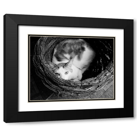 Picasso Black Modern Wood Framed Art Print with Double Matting by Levin, Kim