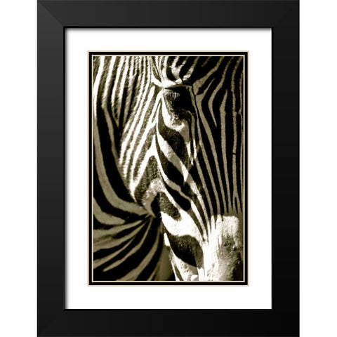 Zebra Head Black Modern Wood Framed Art Print with Double Matting by Lawhorn, Courtney