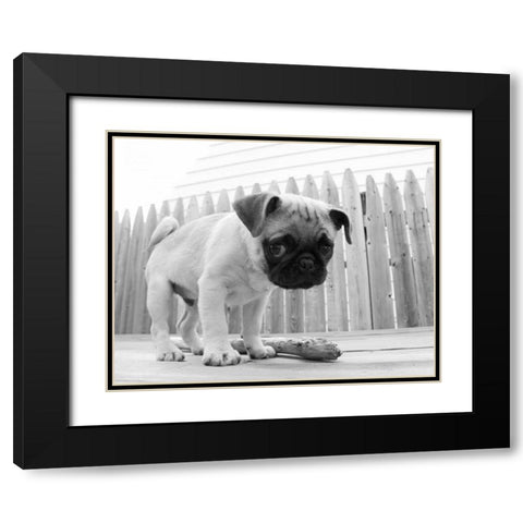 Bentley Black Modern Wood Framed Art Print with Double Matting by Levin, Kim