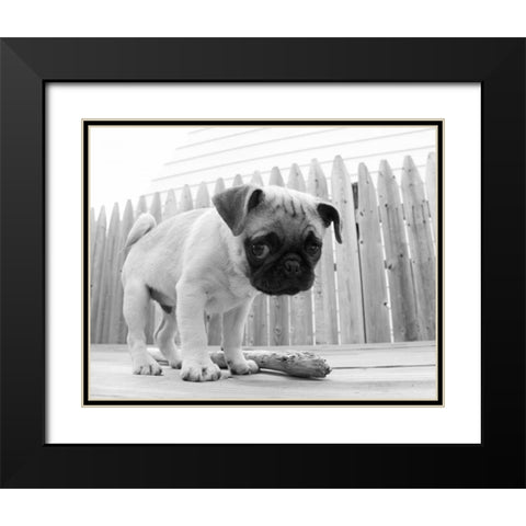 Bentley Black Modern Wood Framed Art Print with Double Matting by Levin, Kim