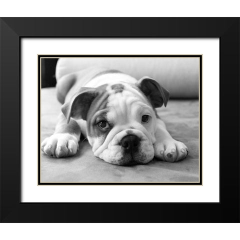 Bodhi Black Modern Wood Framed Art Print with Double Matting by Levin, Kim