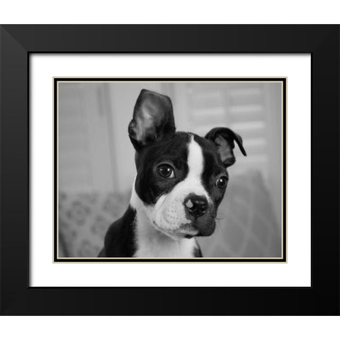 Hugo the Thinker Black Modern Wood Framed Art Print with Double Matting by Levin, Kim