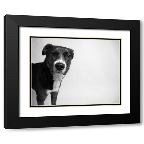 Reilly Black Modern Wood Framed Art Print with Double Matting by Levin, Kim