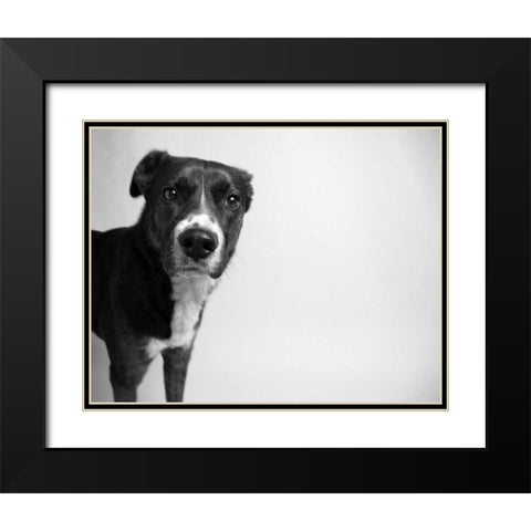 Reilly Black Modern Wood Framed Art Print with Double Matting by Levin, Kim