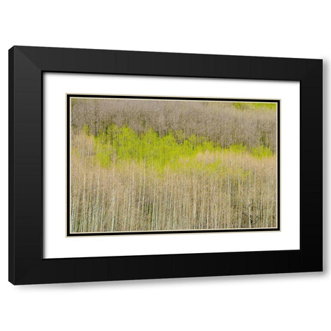 Emergence Black Modern Wood Framed Art Print with Double Matting by Leacock, J.C.
