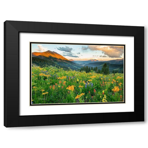 Wash Gulch Wild Black Modern Wood Framed Art Print with Double Matting by Leacock, J.C.