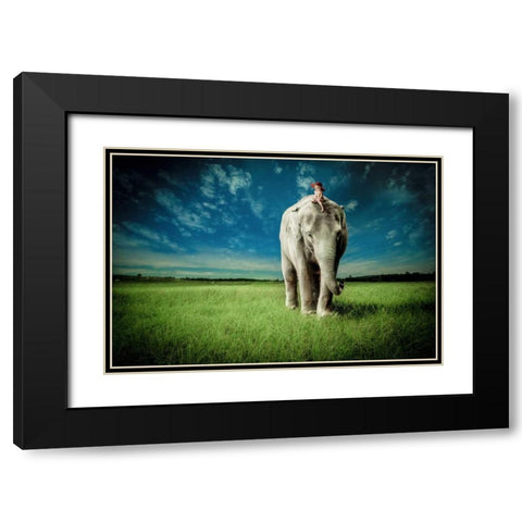 Elephant Carry Me Black Modern Wood Framed Art Print with Double Matting by Madison, Jeff