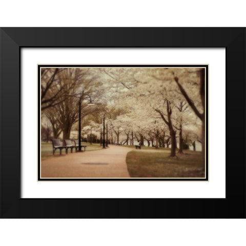 Springtime Stroll Black Modern Wood Framed Art Print with Double Matting by Mikaels, Natalie
