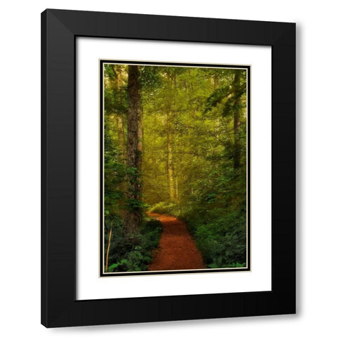 Fairytale Path Black Modern Wood Framed Art Print with Double Matting by Mikaels, Natalie