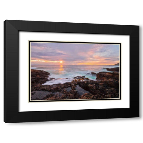 Natures Palette Black Modern Wood Framed Art Print with Double Matting by Mikaels, Natalie