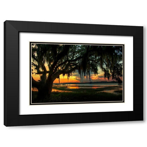 Savannah Evening Black Modern Wood Framed Art Print with Double Matting by Mikaels, Natalie