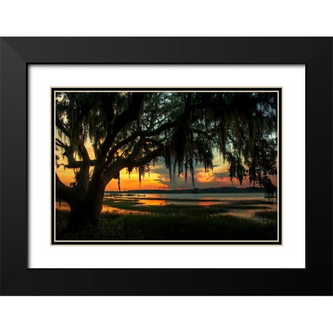 Savannah Evening Black Modern Wood Framed Art Print with Double Matting by Mikaels, Natalie