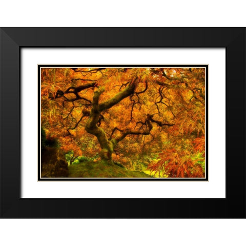 Wild Fire Black Modern Wood Framed Art Print with Double Matting by Mikaels, Natalie