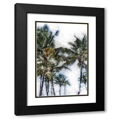 Dorado Palms 2 Black Modern Wood Framed Art Print with Double Matting by Miamee, Golie