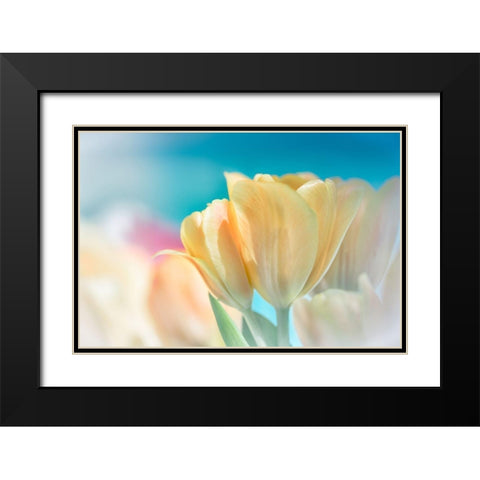 Magical Black Modern Wood Framed Art Print with Double Matting by Marie, Dina