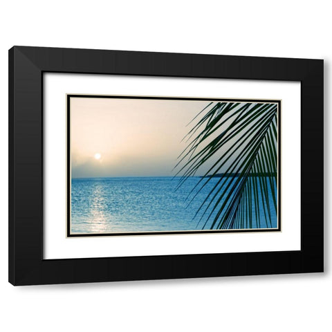 Palm Black Modern Wood Framed Art Print with Double Matting by Marie, Dina