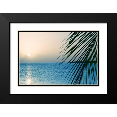 Palm Black Modern Wood Framed Art Print with Double Matting by Marie, Dina