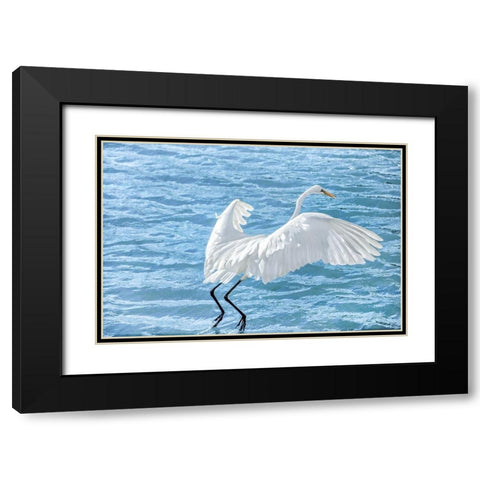 Taking Flight Black Modern Wood Framed Art Print with Double Matting by Marie, Dina