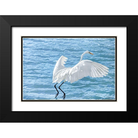 Taking Flight Black Modern Wood Framed Art Print with Double Matting by Marie, Dina