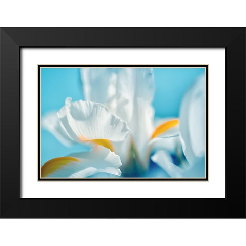 Tropical Dreams Black Modern Wood Framed Art Print with Double Matting by Marie, Dina