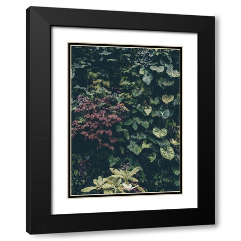 Plant Wall Black Modern Wood Framed Art Print with Double Matting by Design Fabrikken