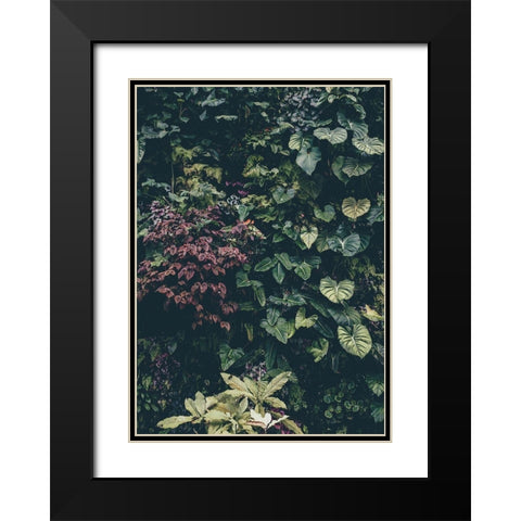 Plant Wall Black Modern Wood Framed Art Print with Double Matting by Design Fabrikken