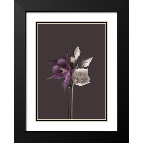 Virtue 2 Black Modern Wood Framed Art Print with Double Matting by Design Fabrikken