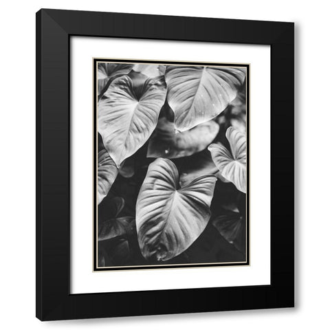 Leaves of Grey Black Modern Wood Framed Art Print with Double Matting by Design Fabrikken
