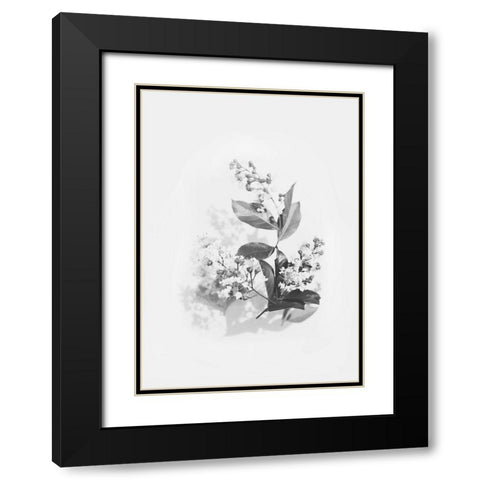Evie Black Modern Wood Framed Art Print with Double Matting by Design Fabrikken