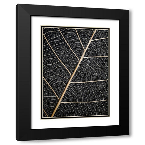 Leaf Veins Black Modern Wood Framed Art Print with Double Matting by Design Fabrikken