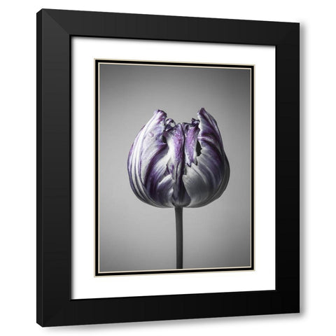 Baroque 5 Black Modern Wood Framed Art Print with Double Matting by Design Fabrikken