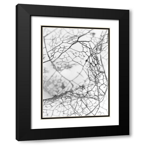 Leaf Skeleton BW Black Modern Wood Framed Art Print with Double Matting by Design Fabrikken
