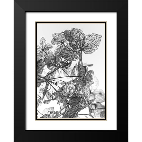 Leaf Composition Black Modern Wood Framed Art Print with Double Matting by Design Fabrikken