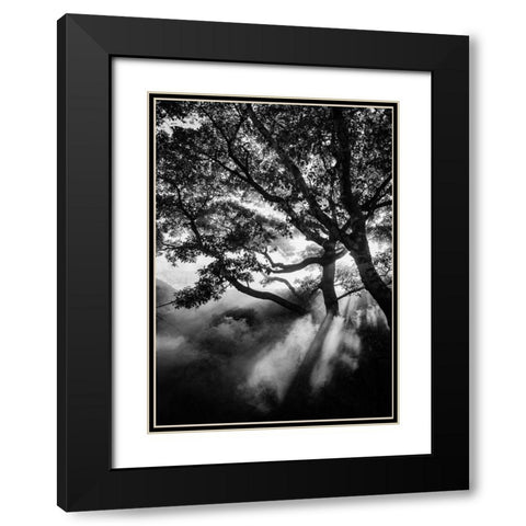 Misty Black Black Modern Wood Framed Art Print with Double Matting by Design Fabrikken