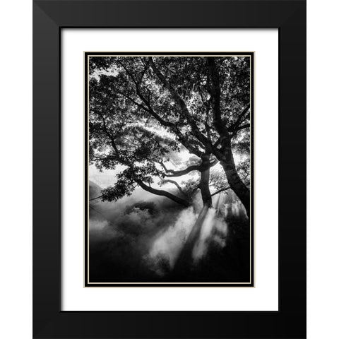 Misty Black Black Modern Wood Framed Art Print with Double Matting by Design Fabrikken
