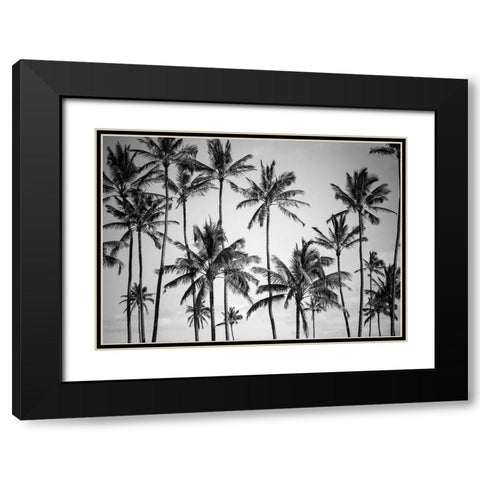 Palm Heaven Black Modern Wood Framed Art Print with Double Matting by Design Fabrikken