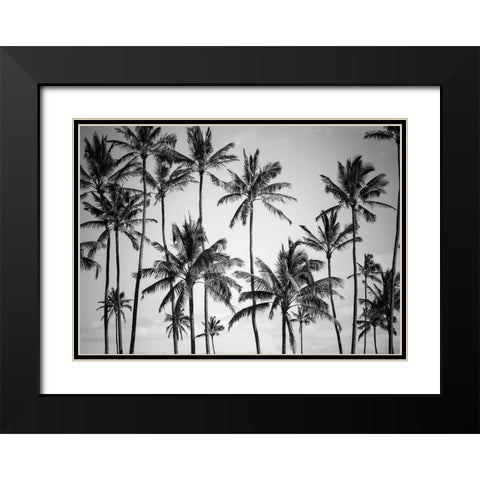 Palm Heaven Black Modern Wood Framed Art Print with Double Matting by Design Fabrikken