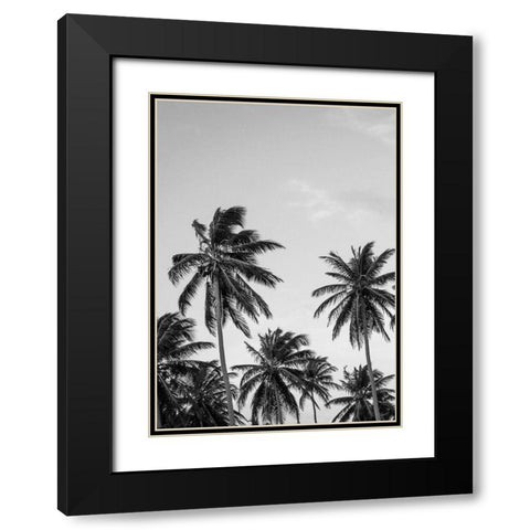 Palms in Grey Black Modern Wood Framed Art Print with Double Matting by Design Fabrikken